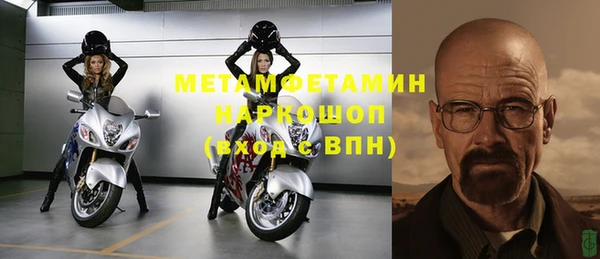 прущие грибы Надым
