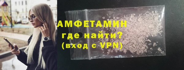 прущие грибы Надым
