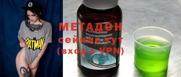 прущие грибы Надым