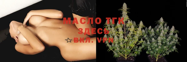 прущие грибы Надым