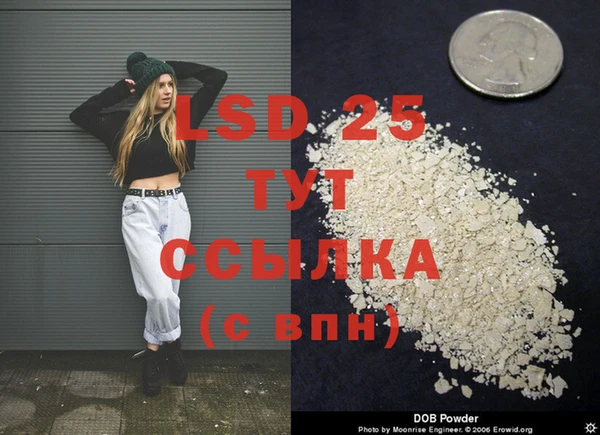 прущие грибы Надым