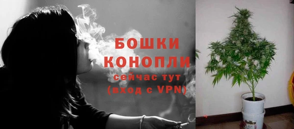 индика Навашино