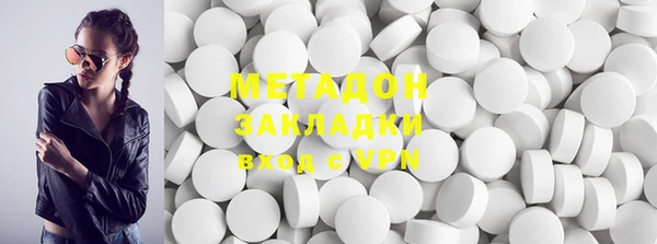 прущие грибы Надым