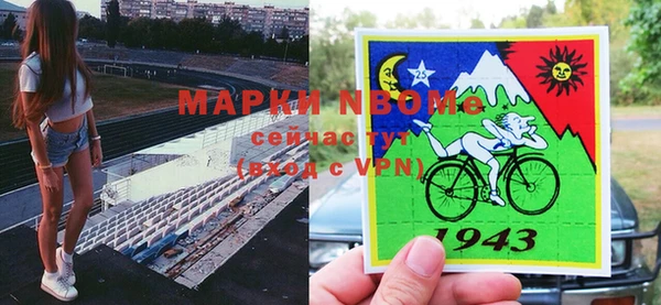 прущие грибы Надым