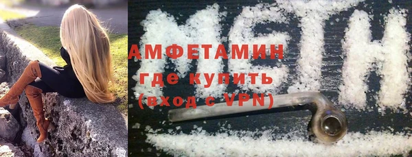 прущие грибы Надым