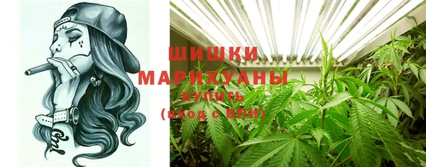 прущие грибы Надым