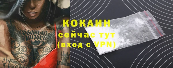 прущие грибы Надым