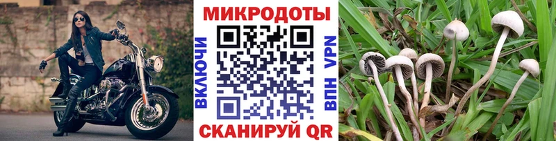 купить   Райчихинск  blacksprut ONION  Галлюциногенные грибы прущие грибы 